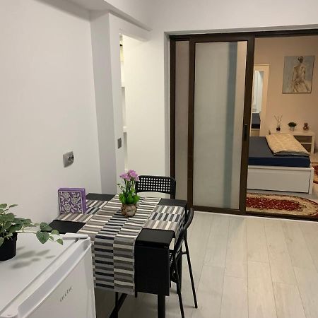 City Center Villa Apartament Bucarest Extérieur photo